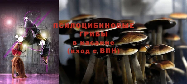 не бодяженный Армянск